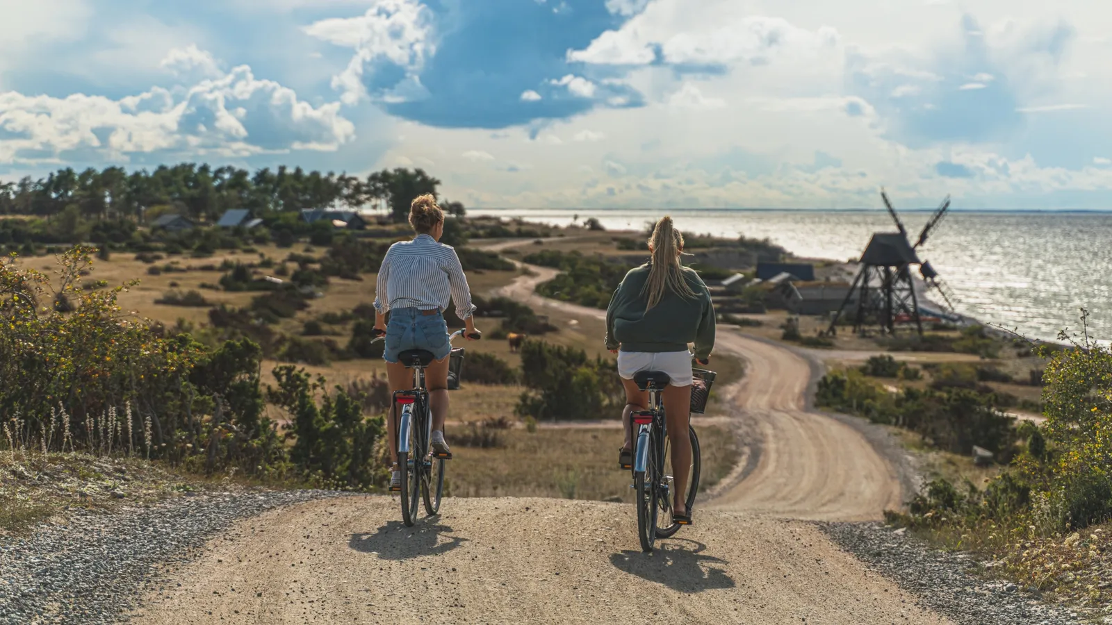 Flat Roads, Big Views