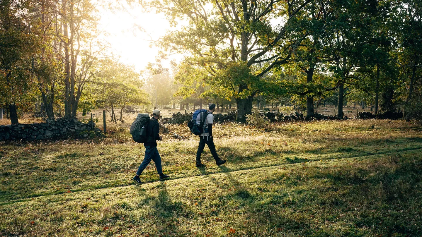 Walk Through a World Heritage Landscape