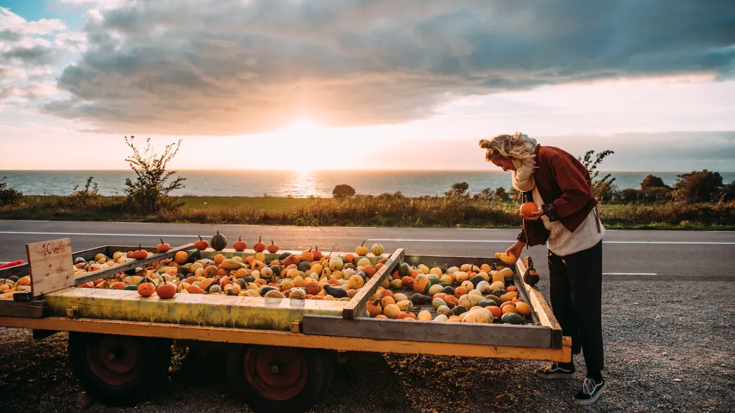 Sweden's Biggest Harvest Festival