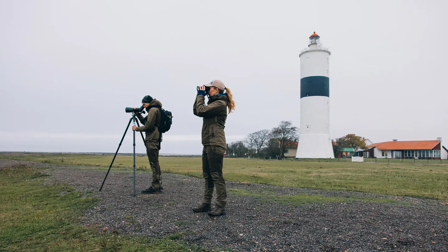 One of Europe's Top Birding Islands
