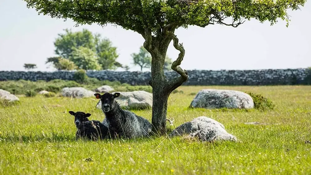 Where Science Meets the UNESCO Landscape